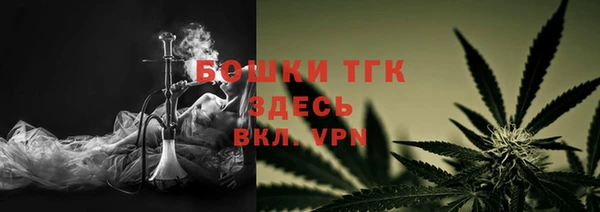 трава Медвежьегорск