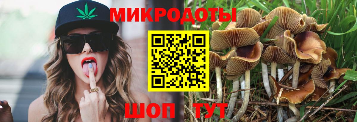 Можайск  Псилоцибиновые грибы Psilocybe  Вход с VPN 